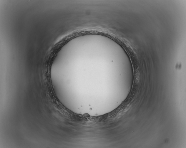 X0000096991494200802291157