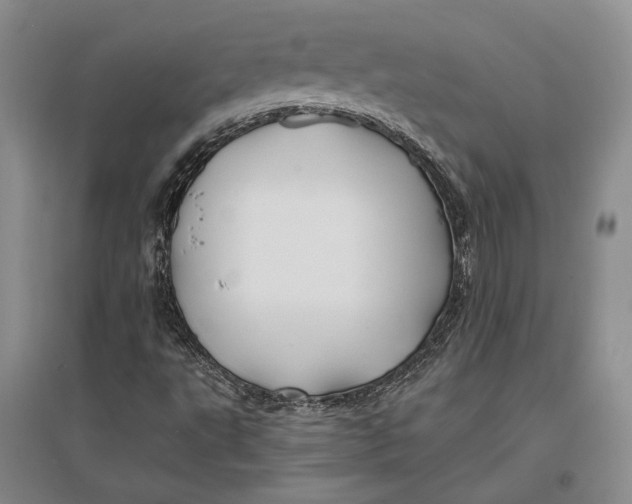 X0000096991495200802291157