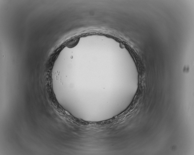 X0000096991496200802291157