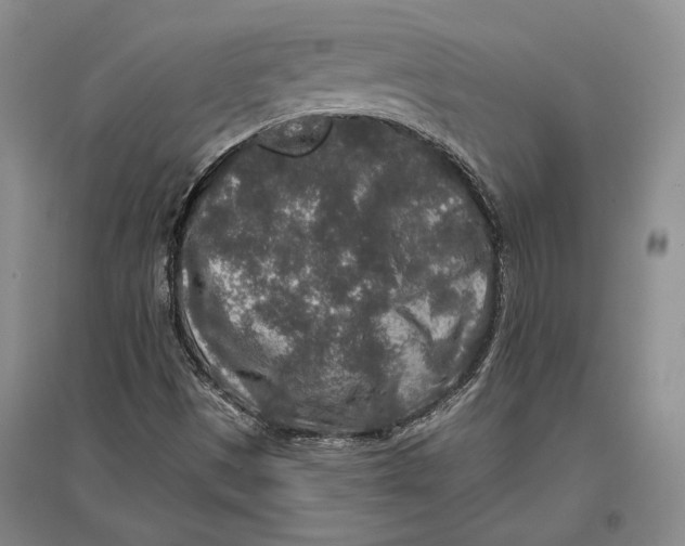 X0000096991497200802291157