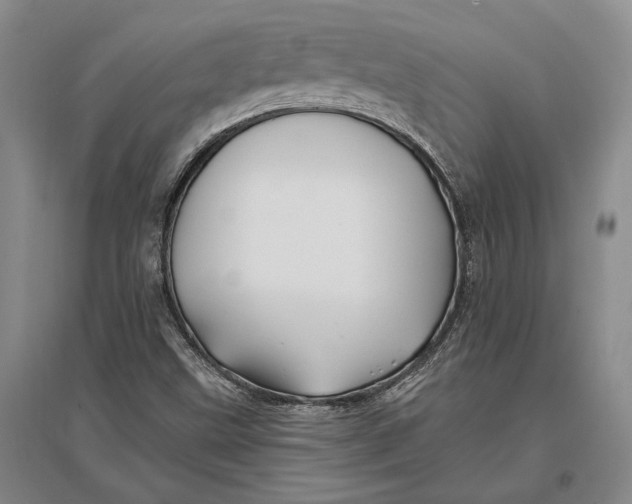 X0000096991499200802291157