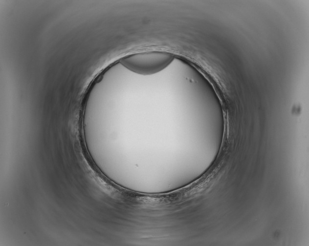 X0000096991500200802291157