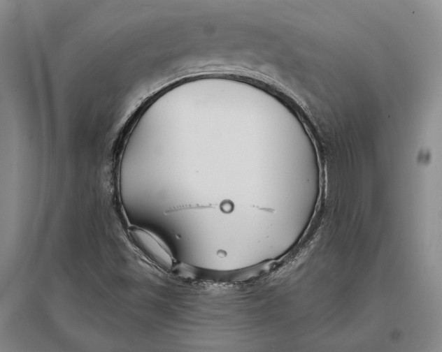 X0000096991501200802291157