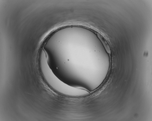 X0000096991502200802291157