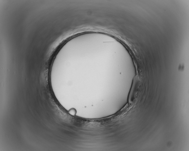 X0000096991503200802291157