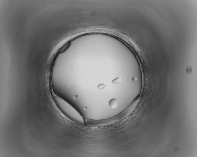 X0000096991504200802291157