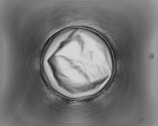 X0000096991505200802291157