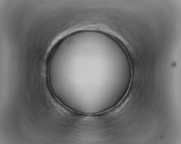 X0000096991506200802291157