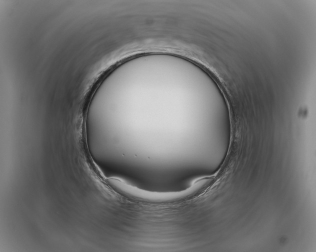 X0000096991507200802291157