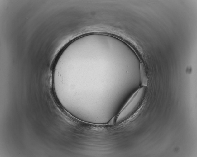 X0000096991509200802291157