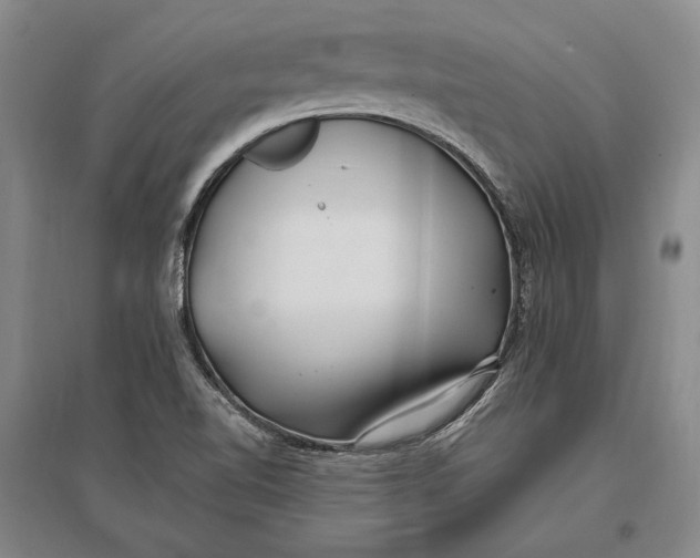 X0000096991510200802291157