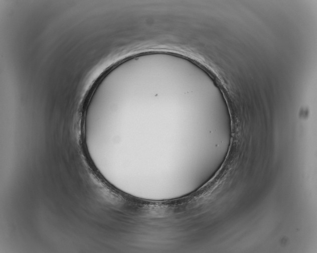 X0000096991511200802291157