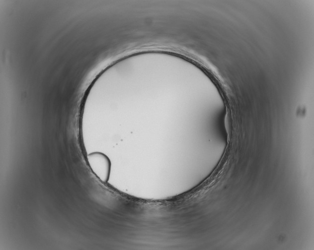 X0000096991512200802291157