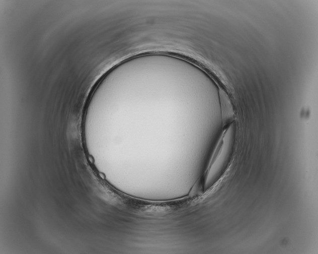 X0000096991513200802291157