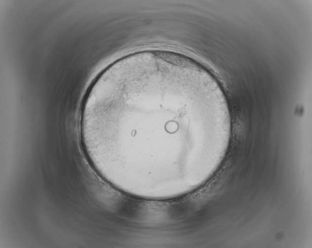 X0000096991514200802291157