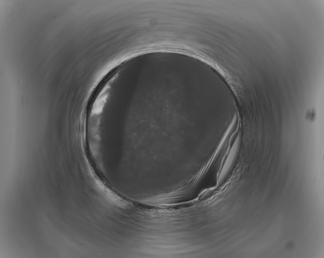 X0000096991515200802291157