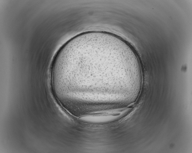 X0000096991517200802291157