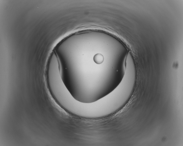 X0000096991518200802291157