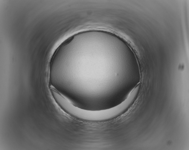 X0000096991520200802291157