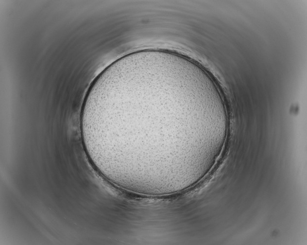 X0000096991521200802291157