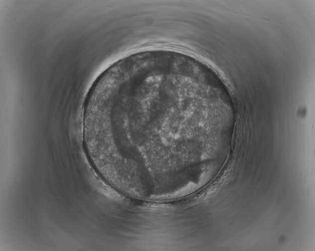 X0000096991522200802291157