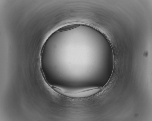 X0000096991524200802291157