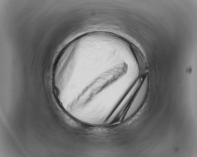 X0000096991525200802291157