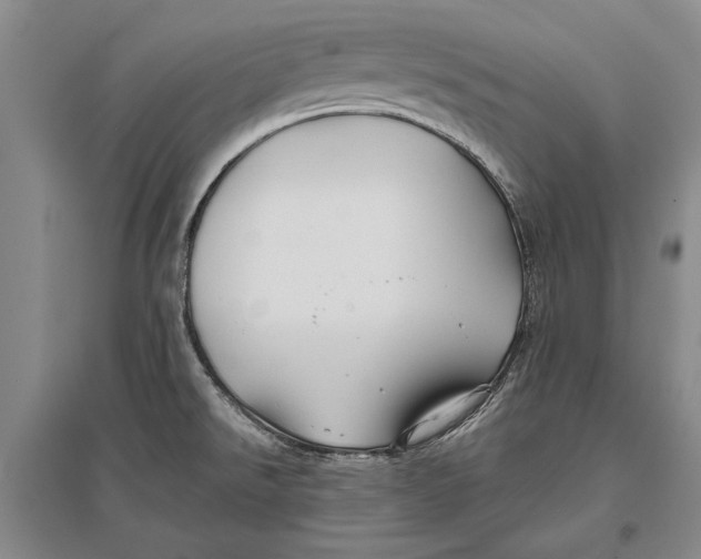 X0000096991526200802291157