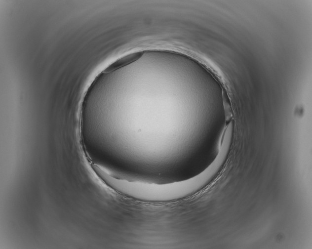 X0000096991528200802291157