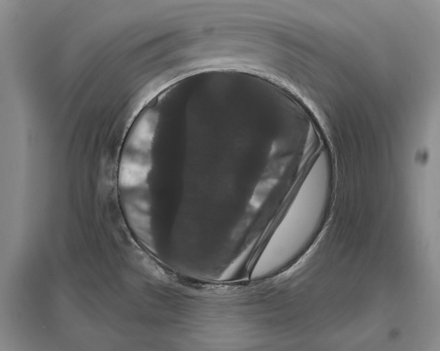 X0000096991529200802291157