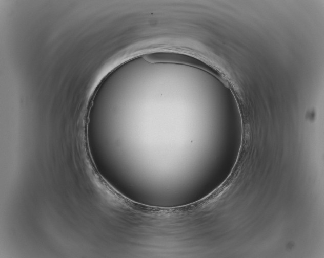 X0000096991530200802291157