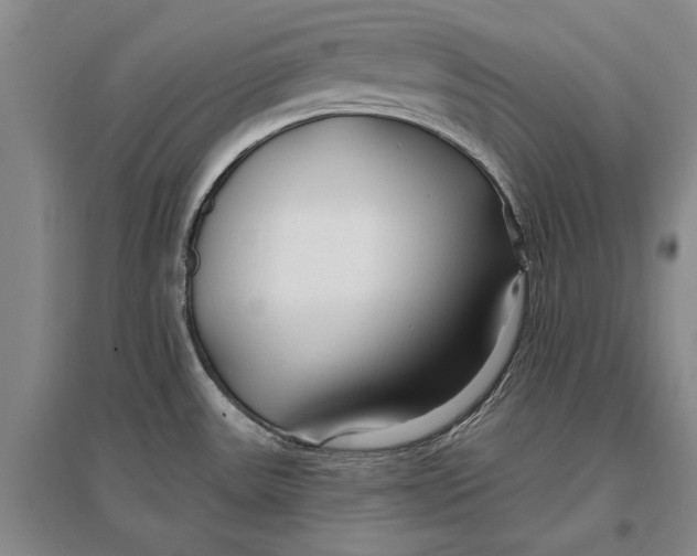 X0000096991531200802291157