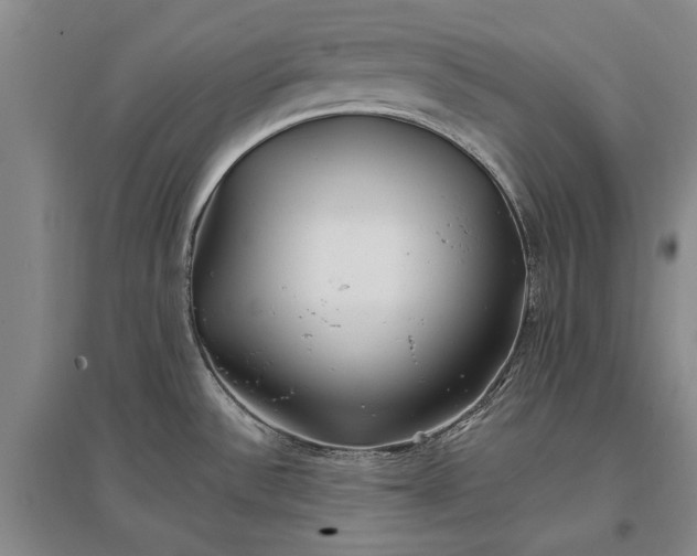 X0000096991532200802291157