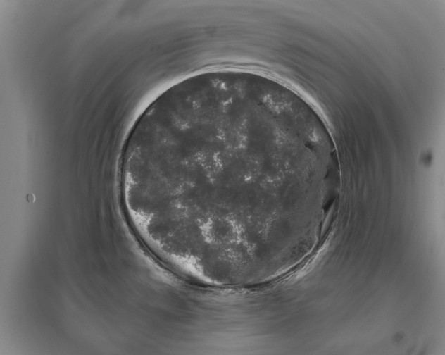 X0000096991533200802291157