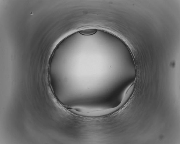 X0000096991534200802291157