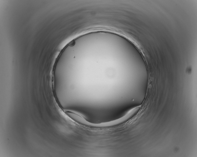 X0000096991535200802291157