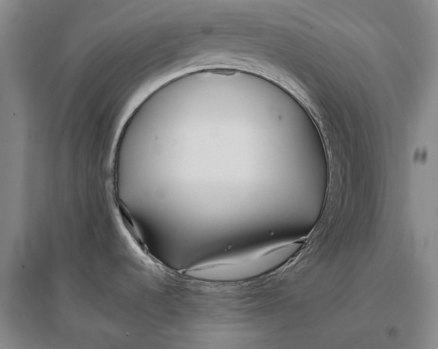 X0000096991536200802291157