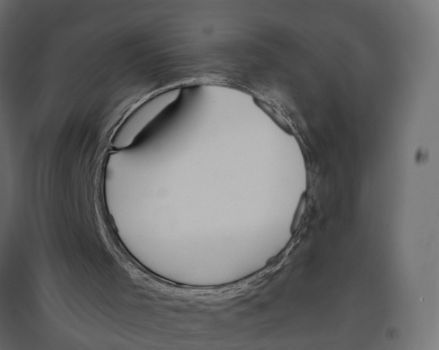 X0000096990001200803071104