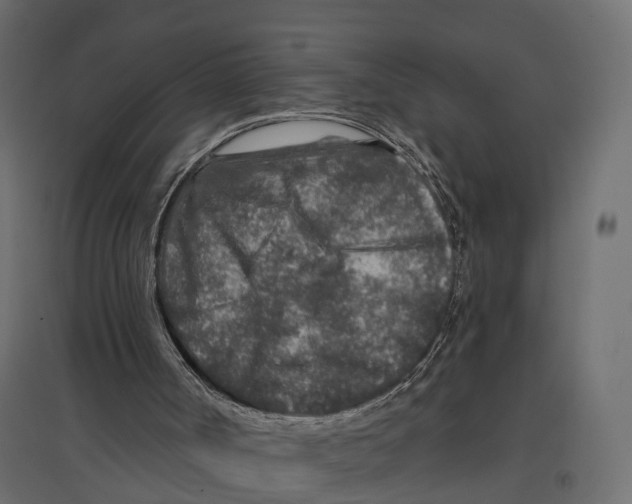 X0000096990002200803071104