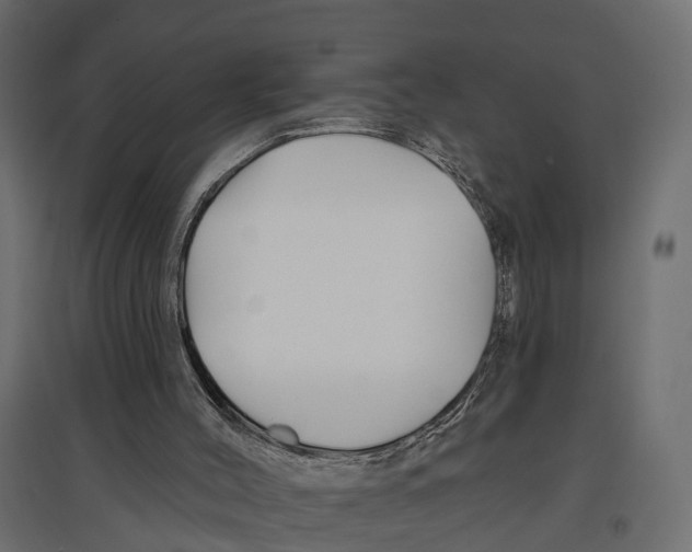 X0000096990004200803071104