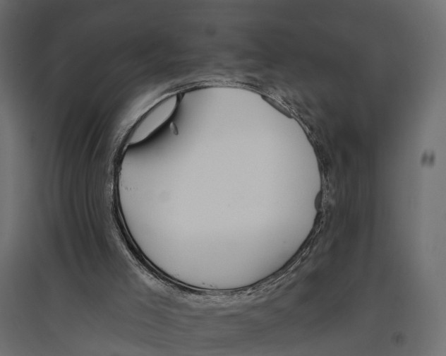 X0000096990005200803071104