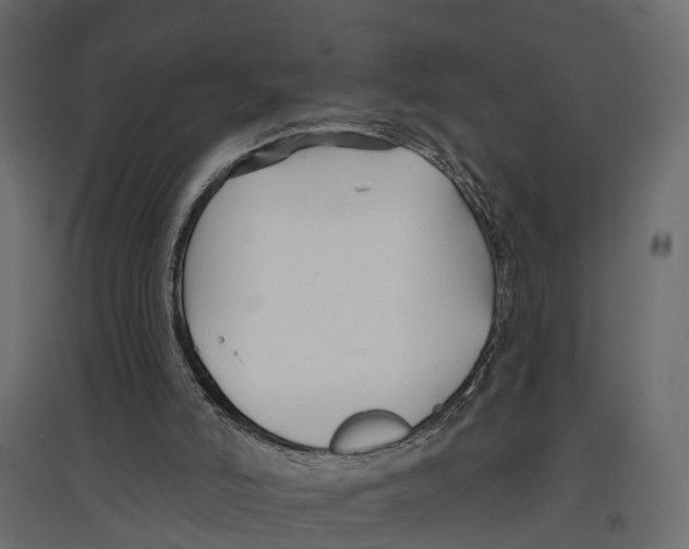 X0000096990006200803071104