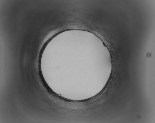 X0000096990008200803071104