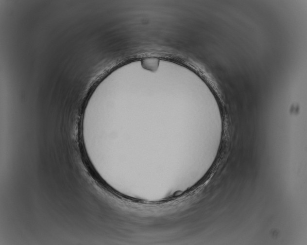 X0000096990010200803071104