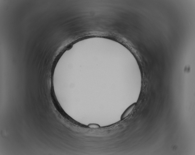 X0000096990011200803071104