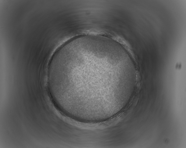 X0000096990012200803071104