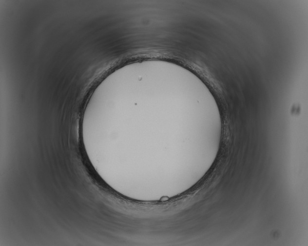 X0000096990014200803071104