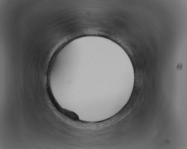 X0000096990015200803071104