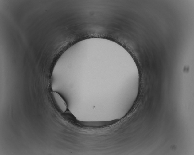 X0000096990017200803071104