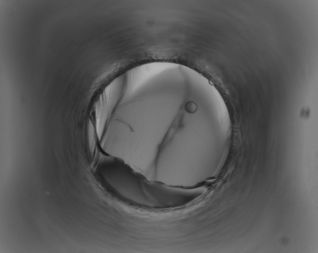 X0000096990019200803071104